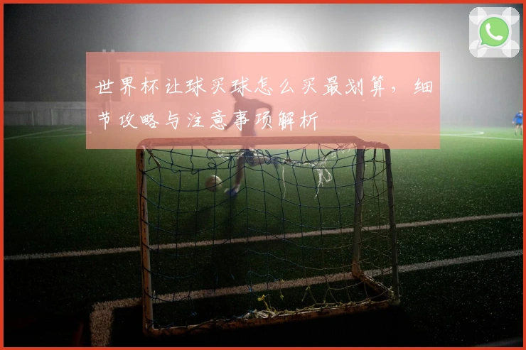 世界杯让球买球怎么买最划算，细节攻略与注意事项解析