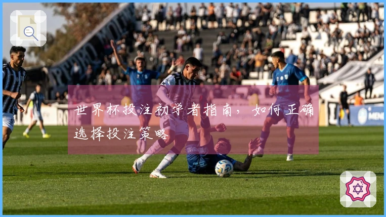 世界杯投注初学者指南，如何正确选择投注策略