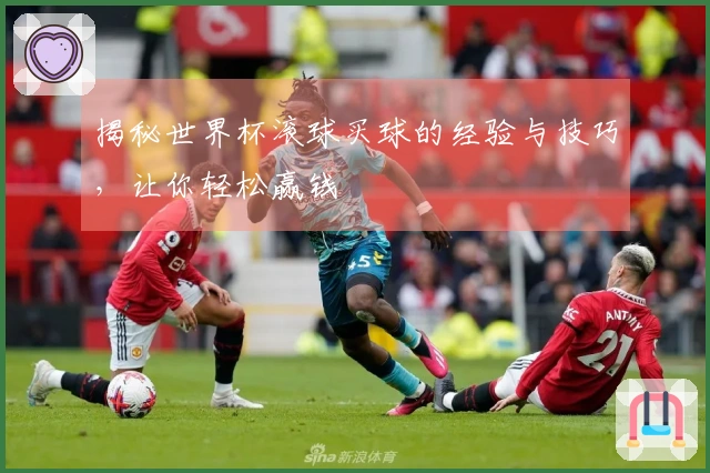 揭秘世界杯滚球买球的经验与技巧，让你轻松赢钱