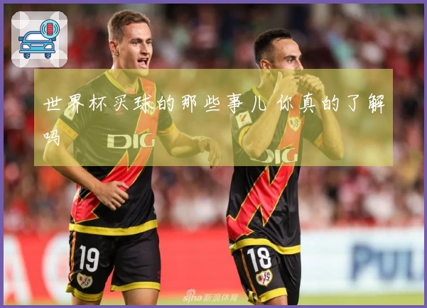 世界杯买球的那些事儿 你真的了解吗