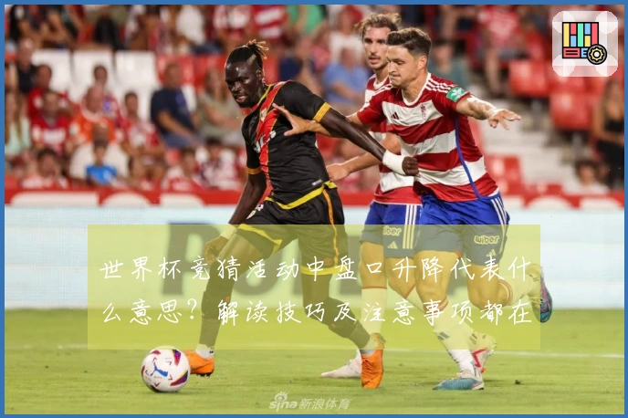 世界杯竞猜活动中盘口升降代表什么意思？解读技巧及注意事项都在这里