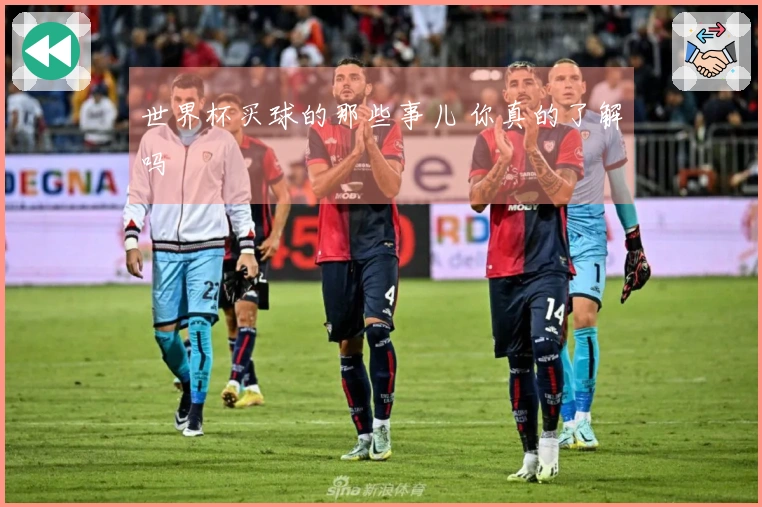 世界杯买球的那些事儿 你真的了解吗