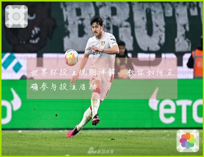 世界杯投注规则详解，教你如何正确参与投注活动