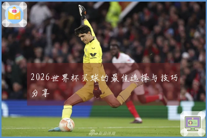 2026世界杯买球的最佳选择与技巧分享