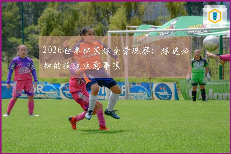 2026世界杯买球全景观察：球迷必知的投注注意事项