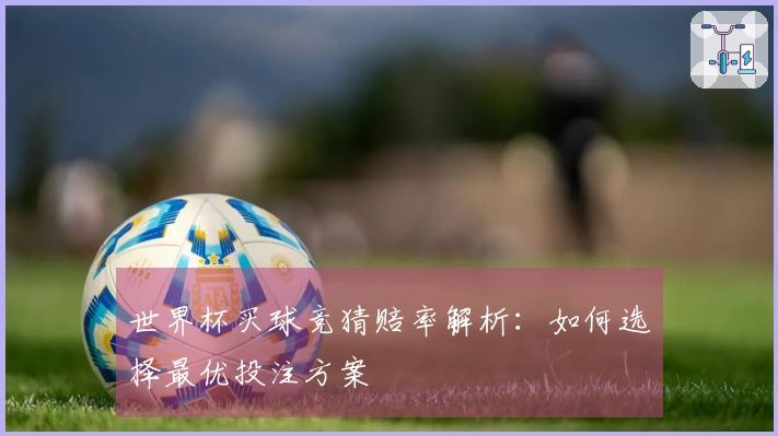世界杯买球竞猜赔率解析：如何选择最优投注方案