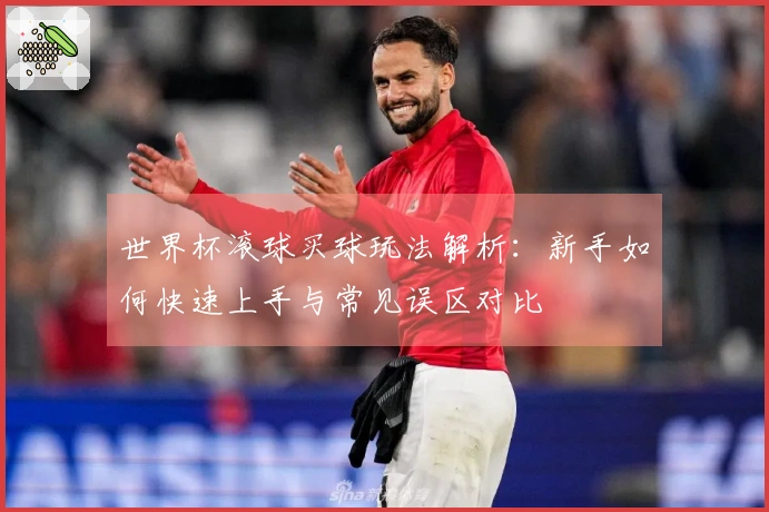 世界杯滚球买球玩法解析：新手如何快速上手与常见误区对比