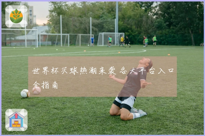 世界杯买球热潮来袭 各大平台入口全指南