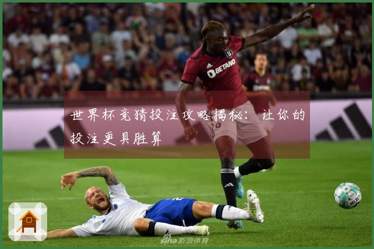 世界杯竞猜投注攻略揭秘：让你的投注更具胜算