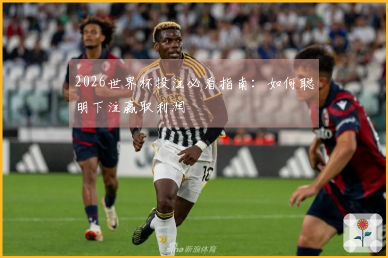2026世界杯投注必看指南：如何聪明下注赢取利润