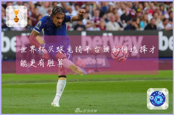 世界杯买球竞猜平台该如何选择才能更有胜算