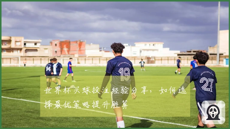 世界杯买球投注经验分享,如何选择最优策略提升胜算