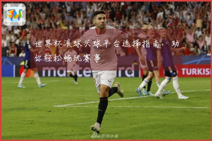 世界杯滚球买球平台选择指南，助你轻松畅玩赛事