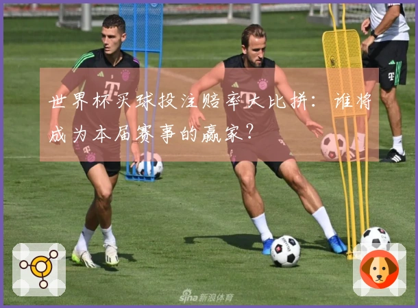 世界杯买球投注赔率大比拼：谁将成为本届赛事的赢家？