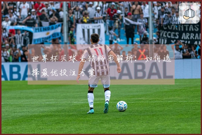 世界杯买球竞猜赔率解析：如何选择最优投注方案