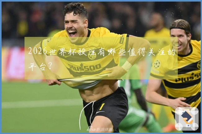 2026世界杯投注有哪些值得关注的平台？