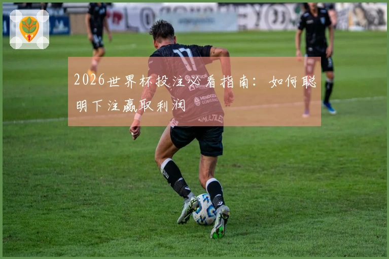 2026世界杯投注必看指南：如何聪明下注赢取利润