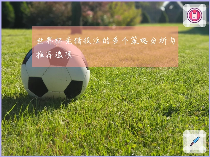 世界杯竞猜投注的多个策略分析与推荐选项